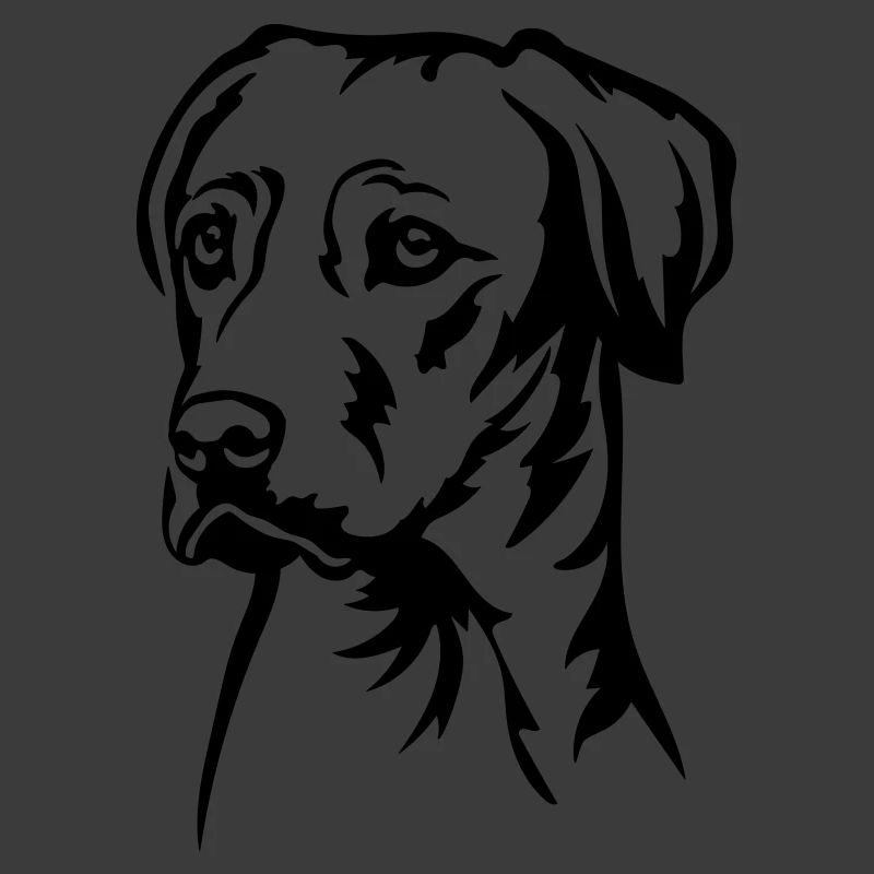 Rhodesian Ridgeback Kopf