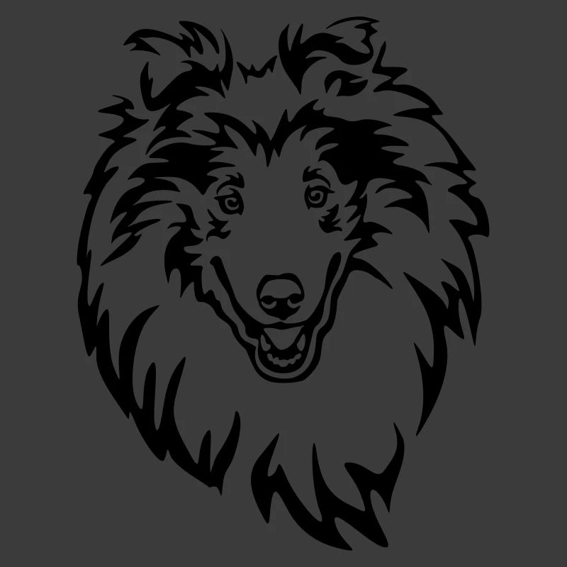 Tête de Collie