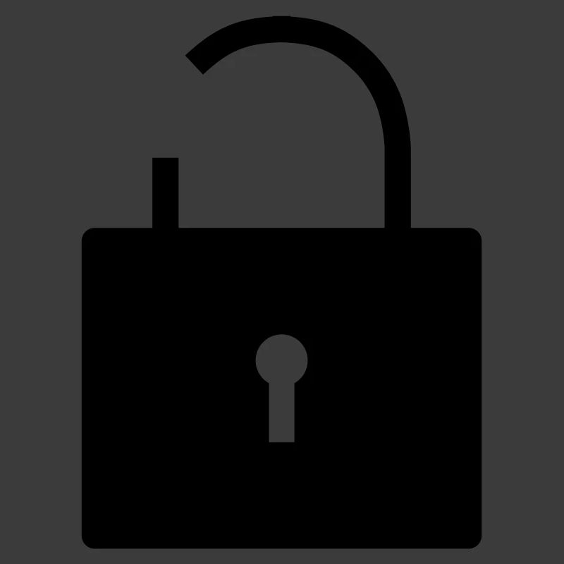 No security no security open lock lock