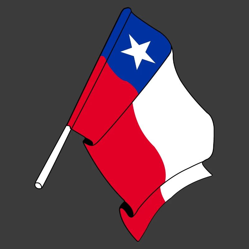 Flagge Chile