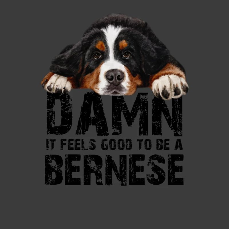 Berner Sennenhund