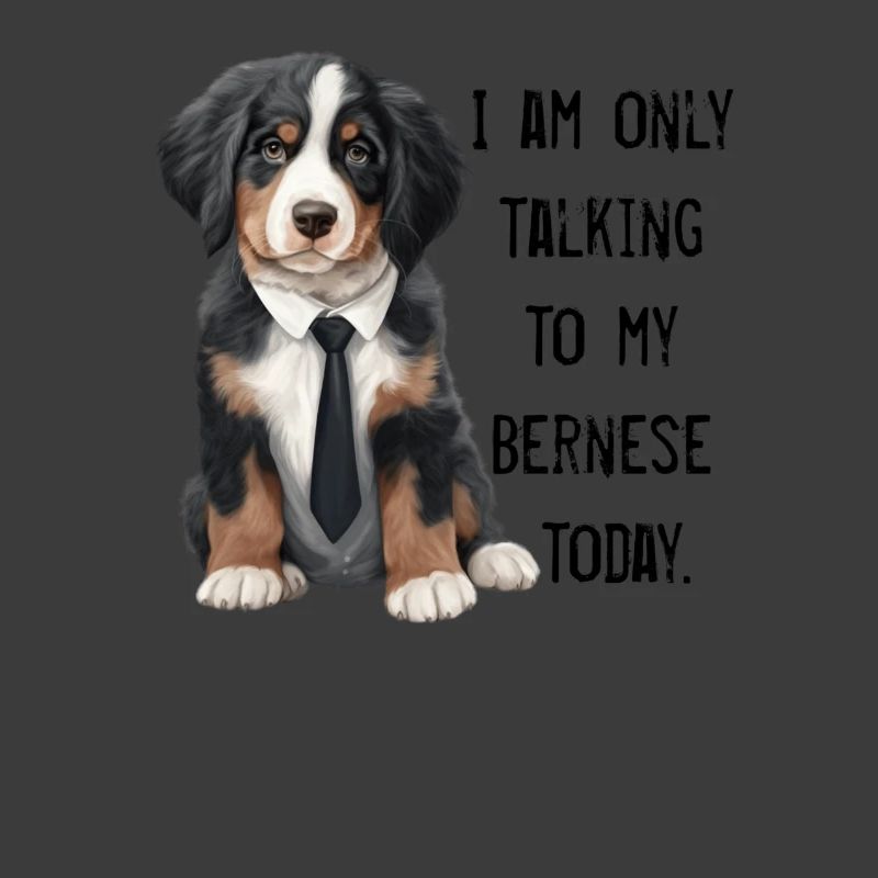Bouvier bernois