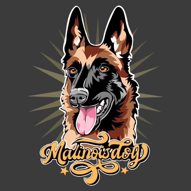 malinois dog