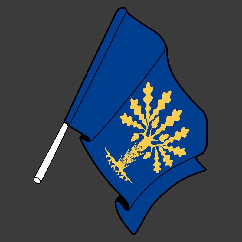 Blekinge, Suède – Simple flag pride