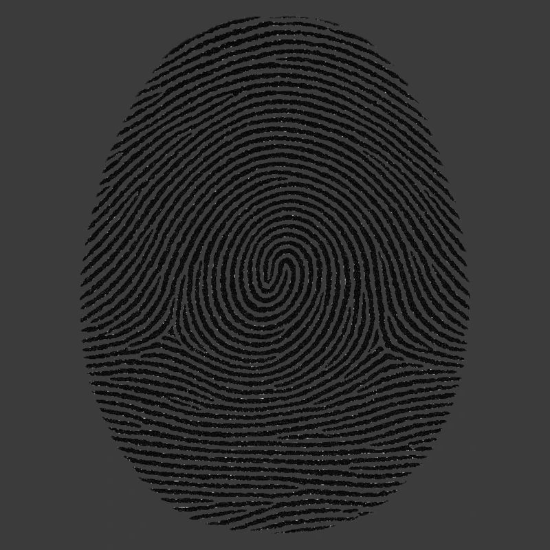 Fingerprint Pattern Noir