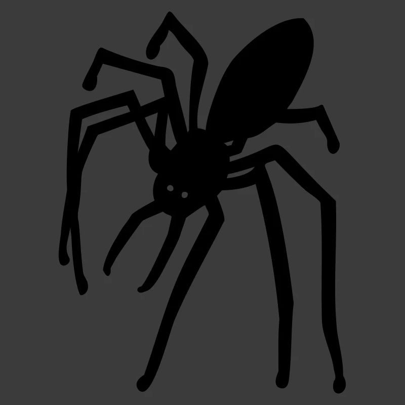 Spinne
