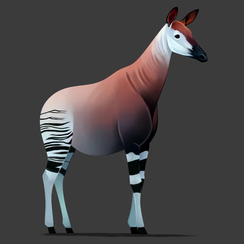 Okapi