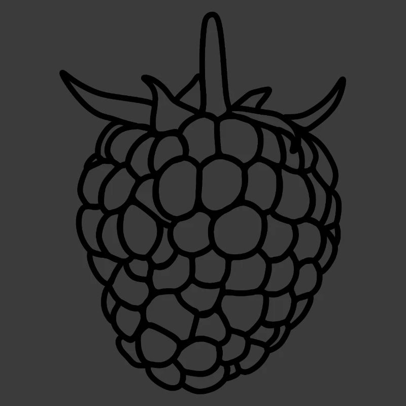 Raspberry Silhouette