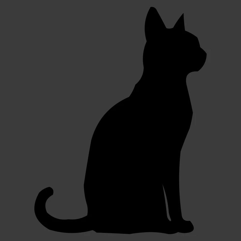 Katze Tier