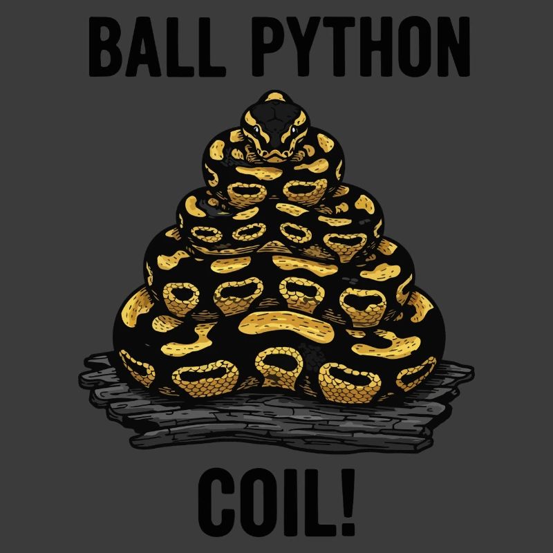 Royal Python Ball Python Coil Reptile Pyramid