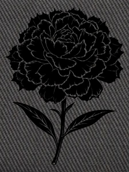 Nelkenblume
