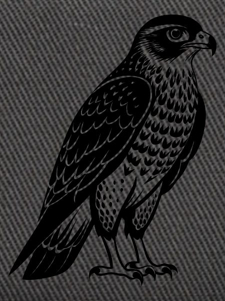 Rothaartiger Falke