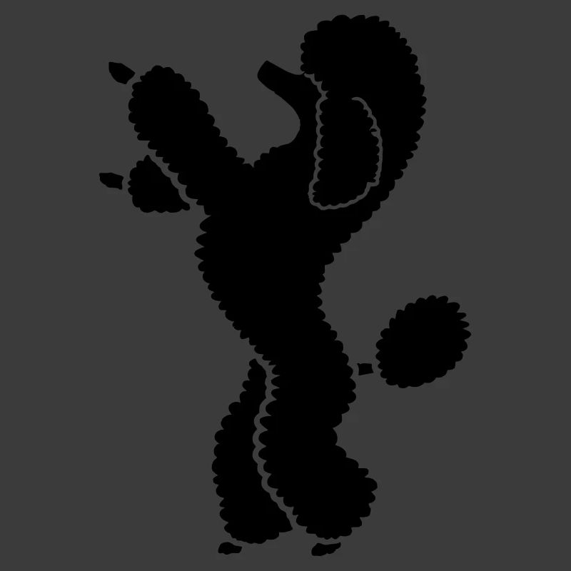 Pudel poodle