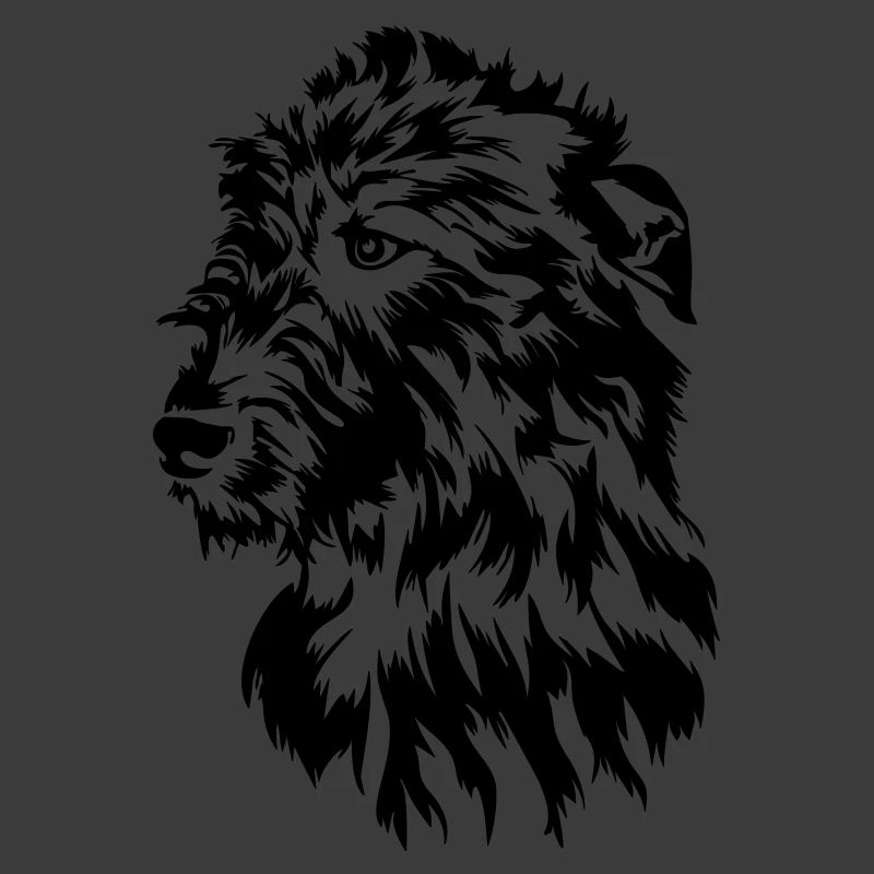 Irish Wolfhound head