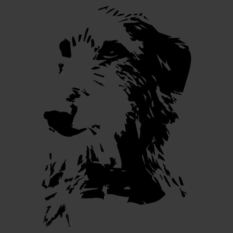 Scottish Deerhound Kopf
