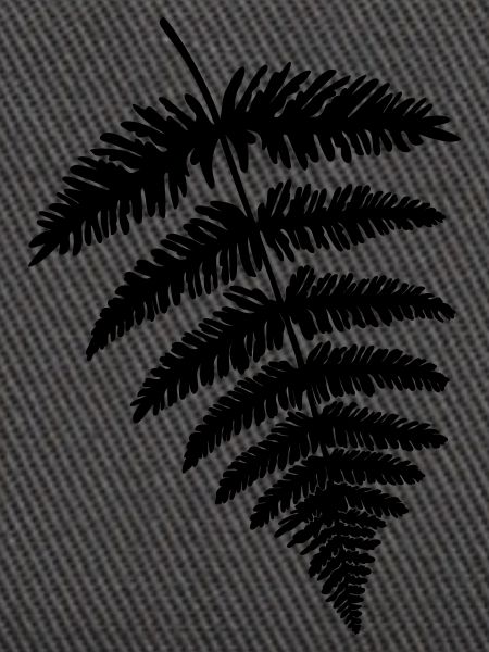 Farn Blatt Farnblatt Farnwedel