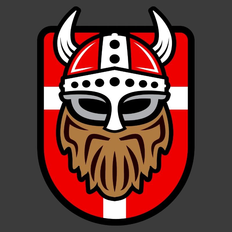 Viking cool avec drapeau danois