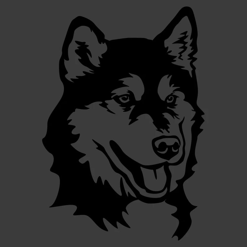 Alaskan Malamute Head