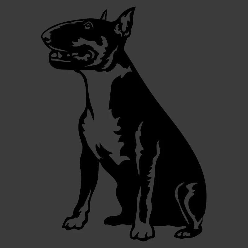 Bullterrier