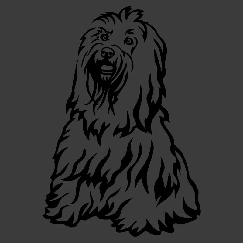 Tibet Terrier