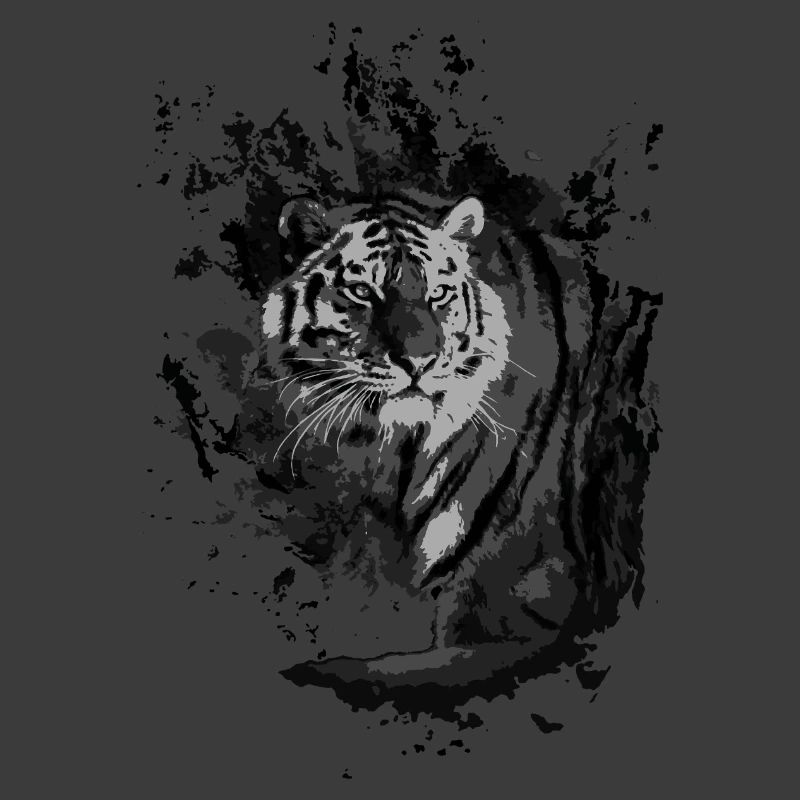 Tiger im Schatten