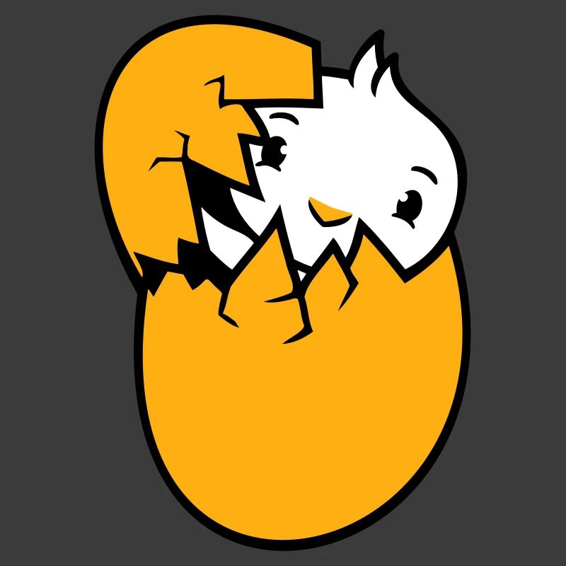 Bird Duck Hatching Egg Easter Easter Egg Baby Child