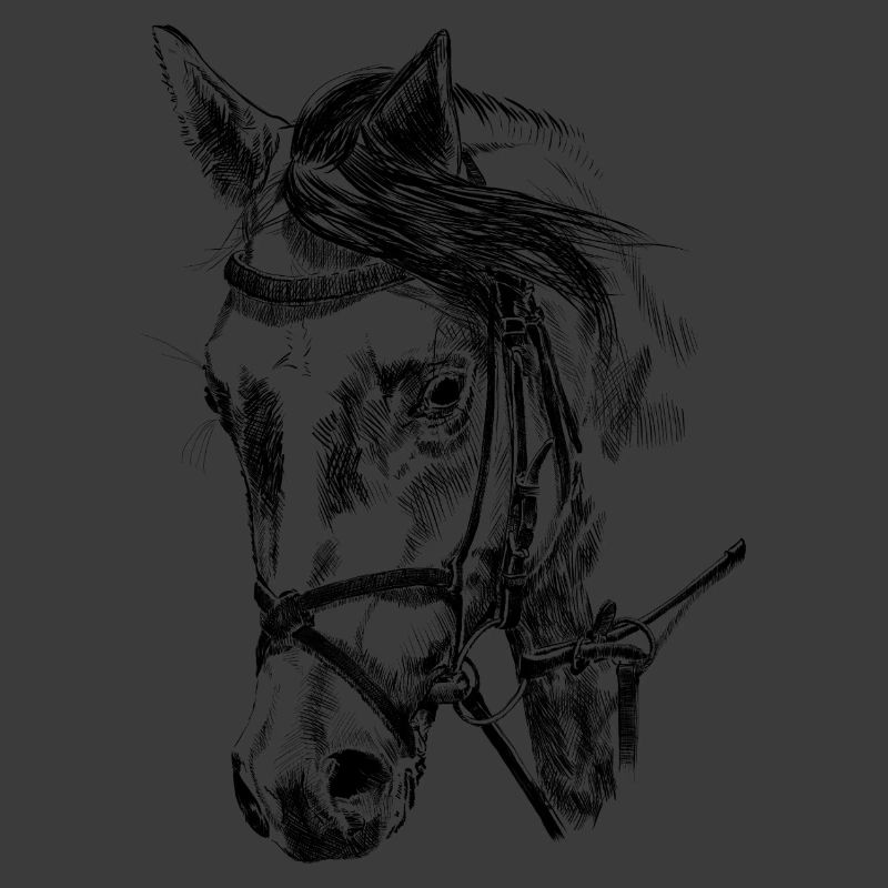 Pferd