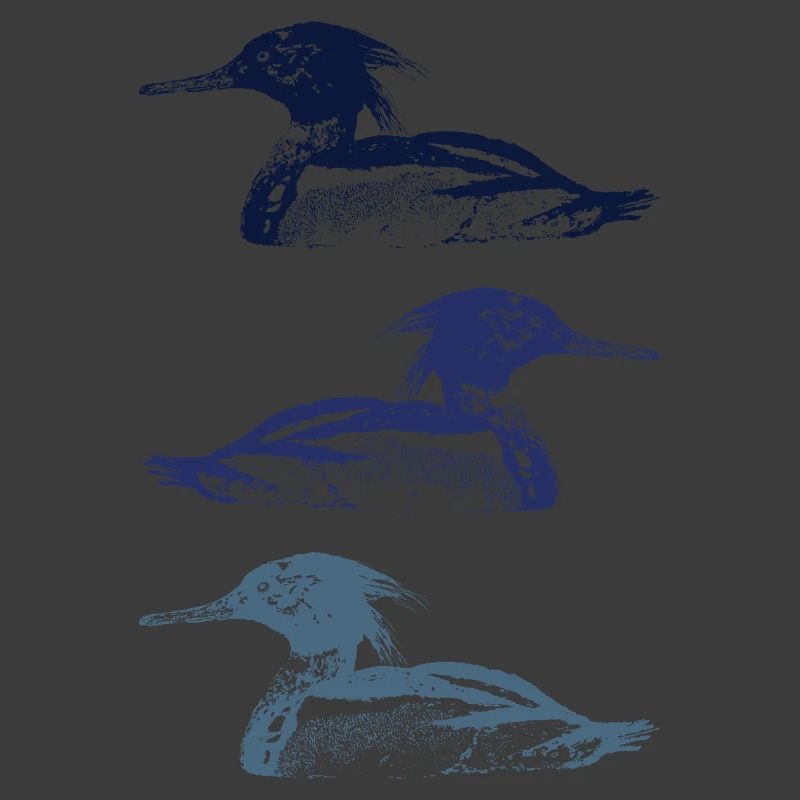 MERGUS