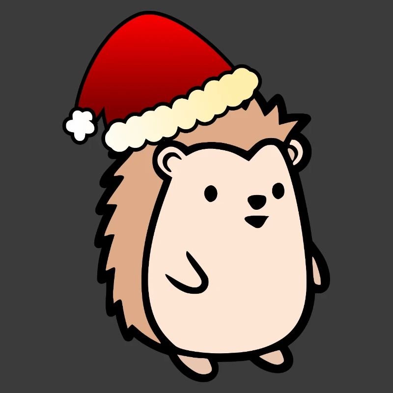 Weihnachtsmann Weihnachten Igel