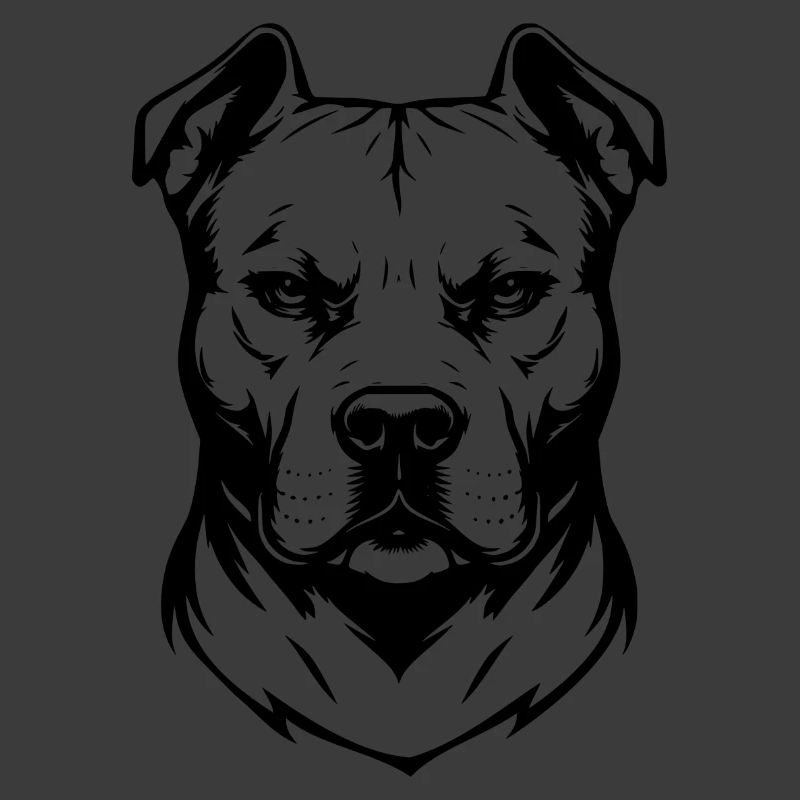 Pitbull design black