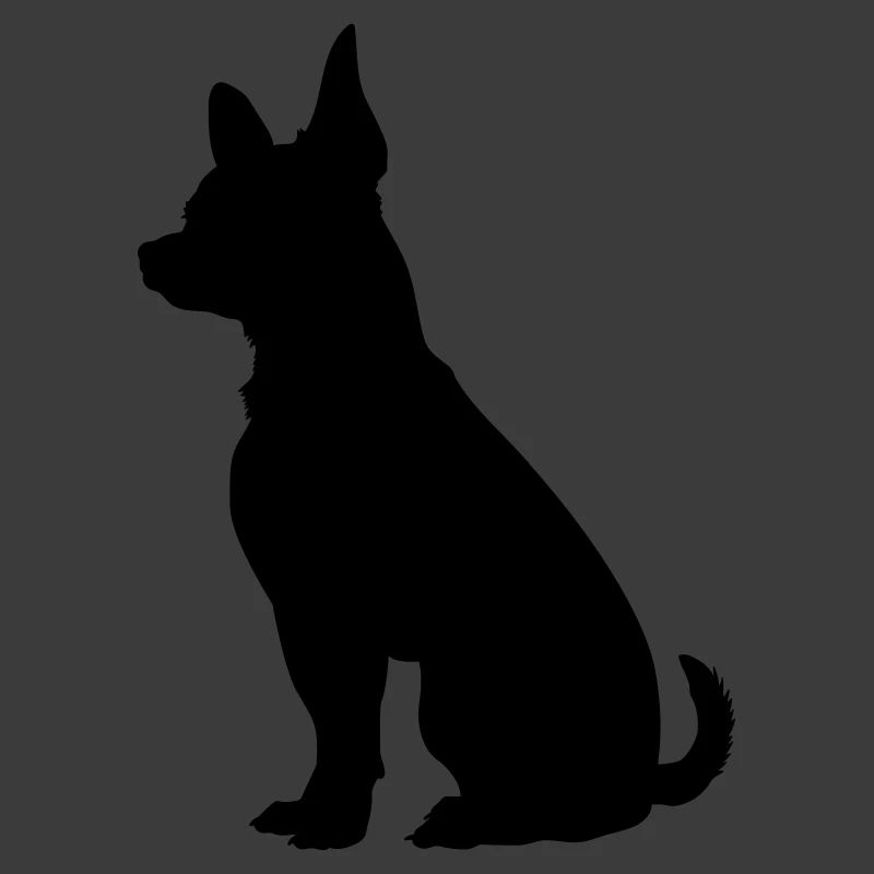 Hund