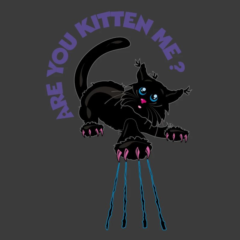 Willst du mich kätzchen? Verspielte Schwarze Katze