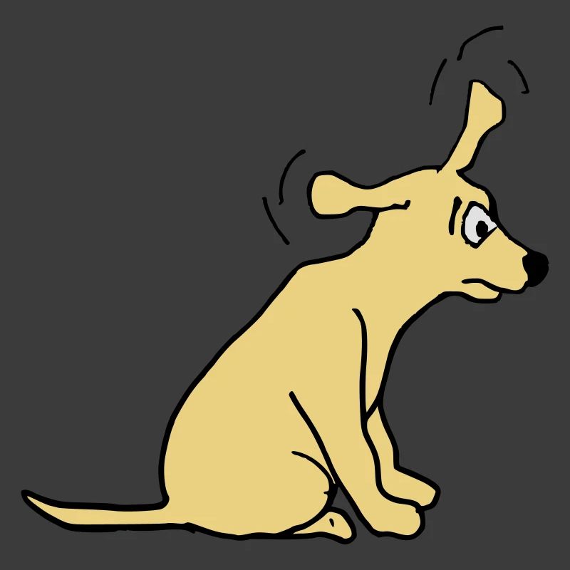 Chien
