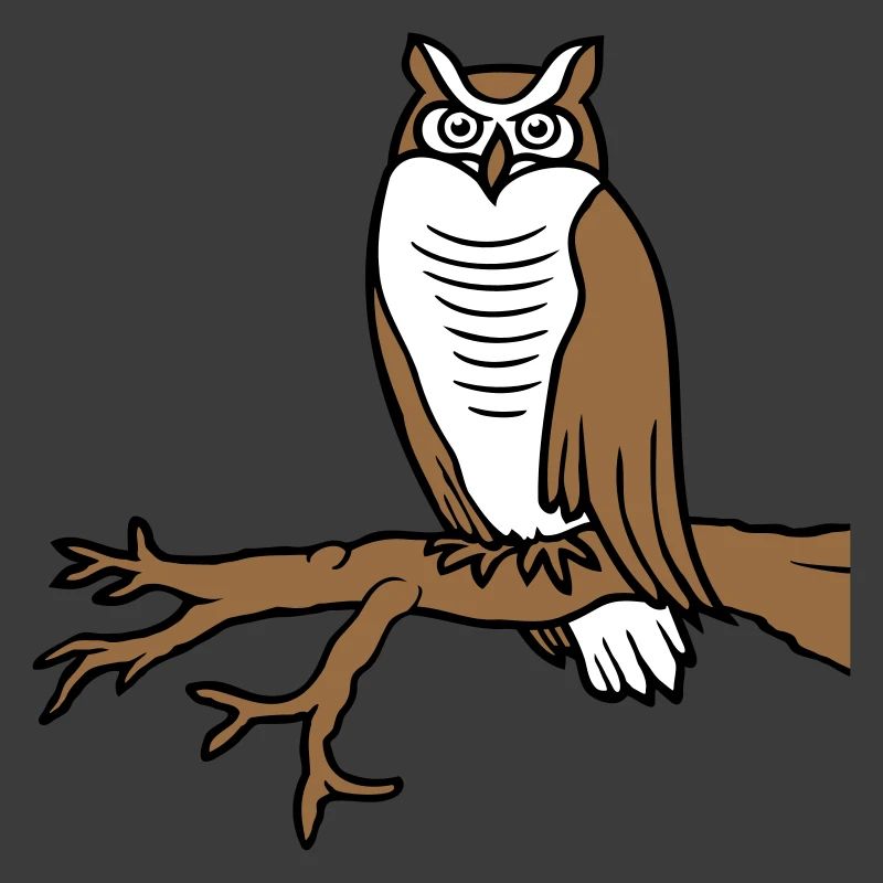 Eule Vogel Uhu Ast Baum Wald Schleiereule Kauz süß