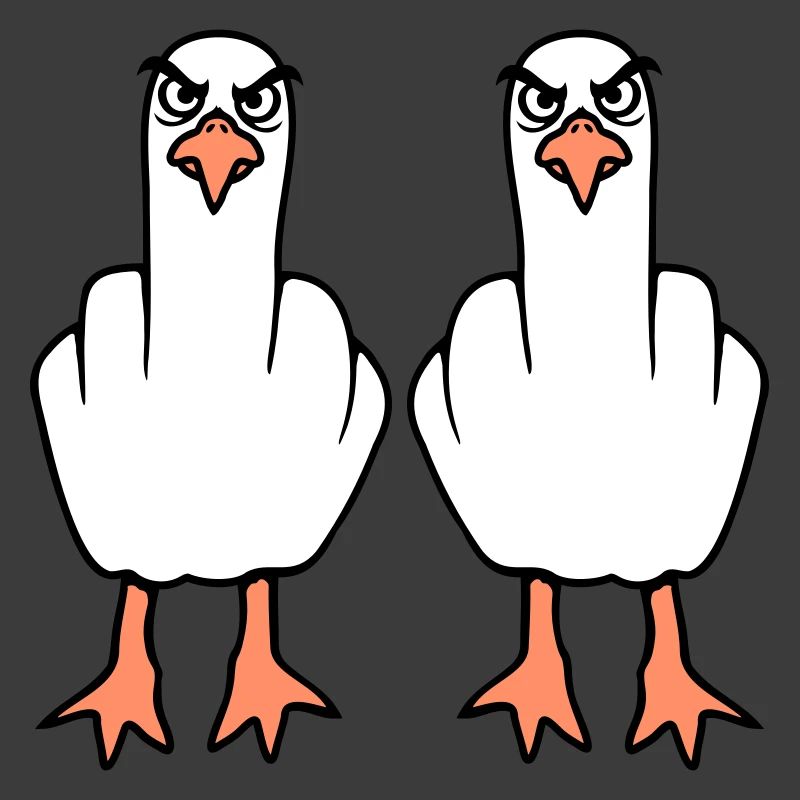2 Möwen Mittelfinger Beleidigung Stinkefinger Team