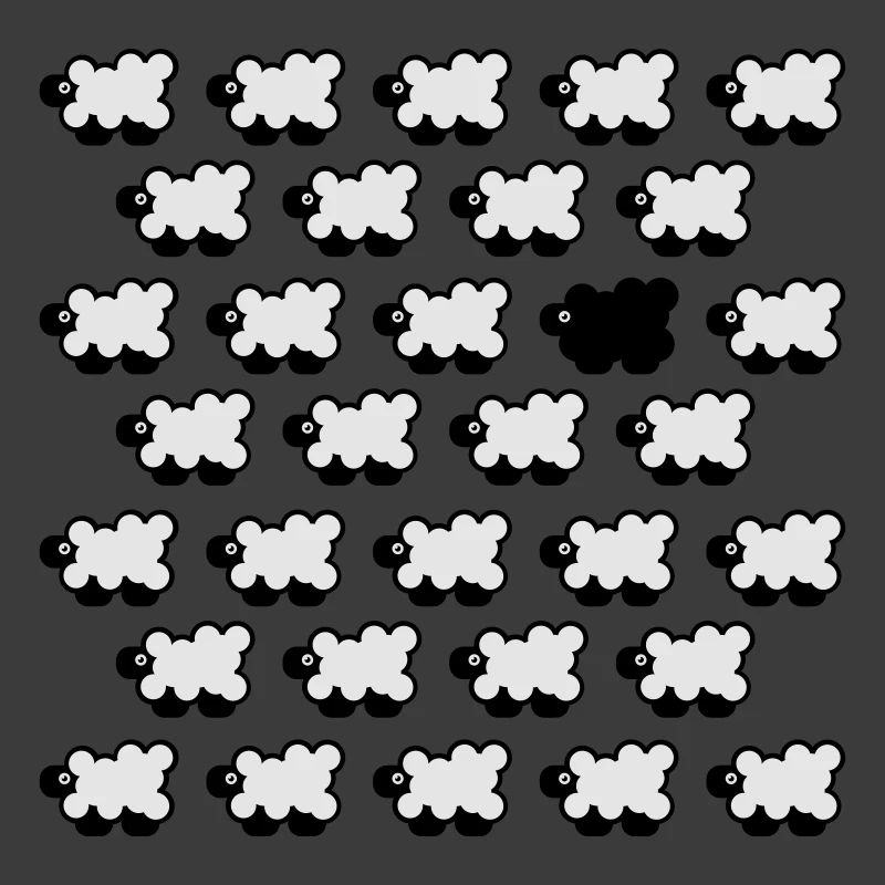 Black Sheep 2C