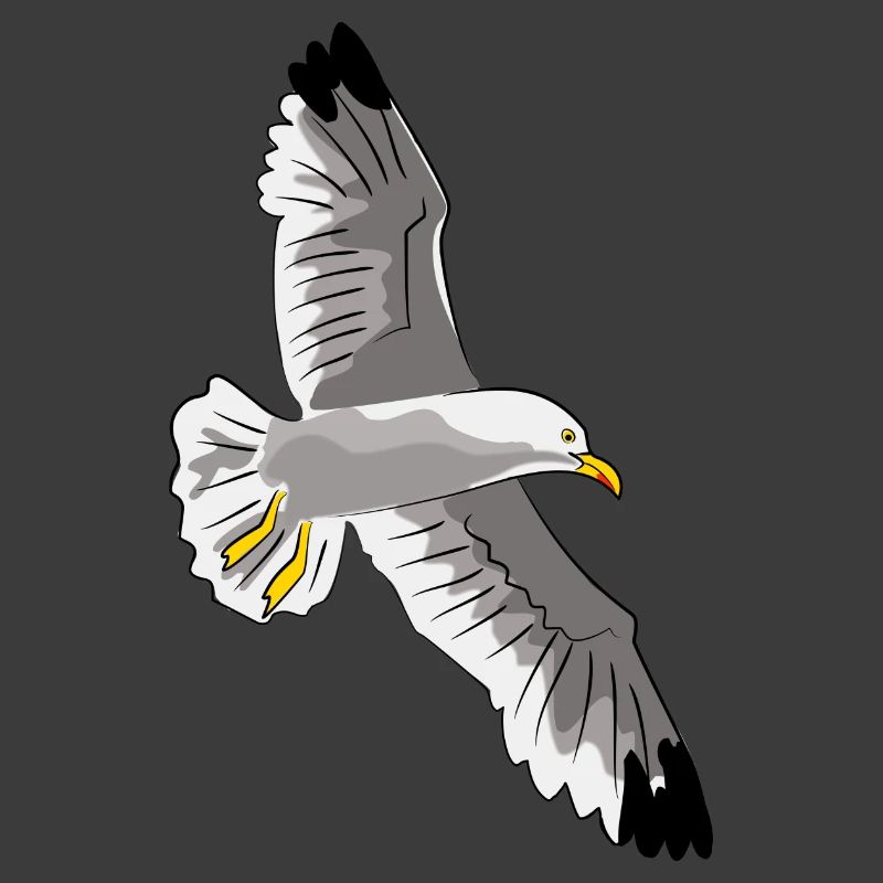 gull