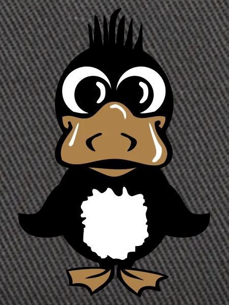 duck