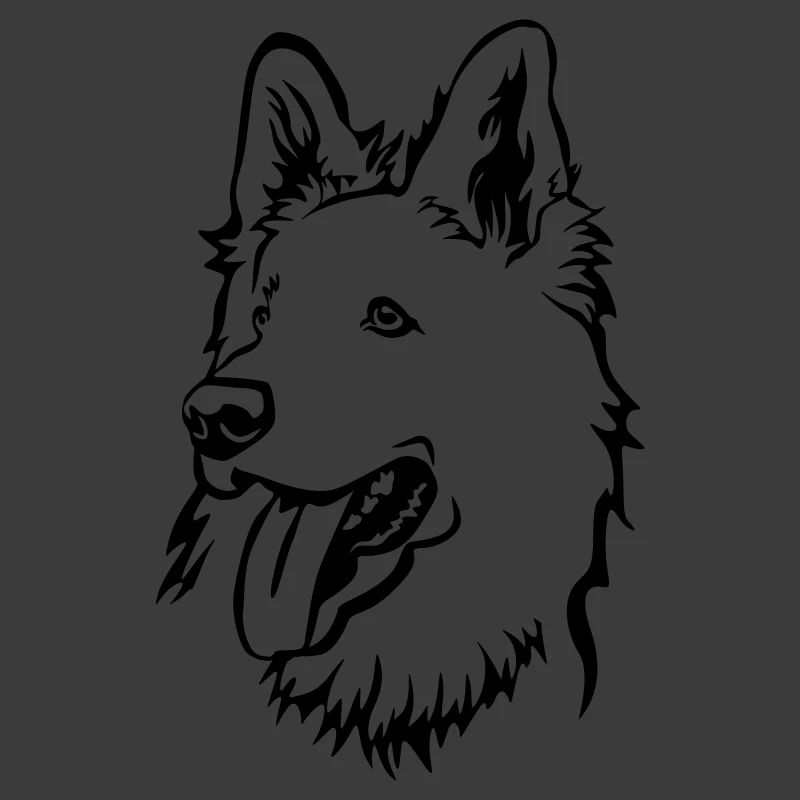 Schweizer Schäferhund Kopf