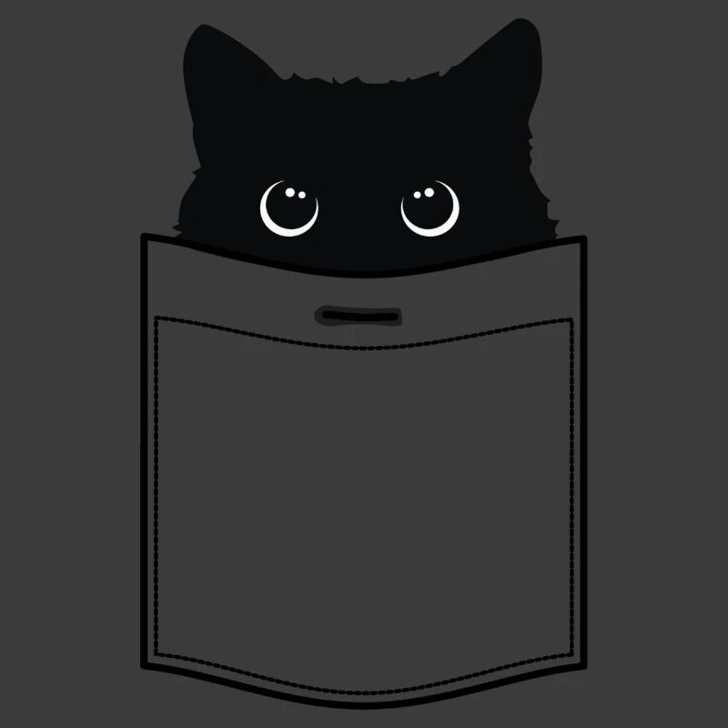 Katze in Tasche