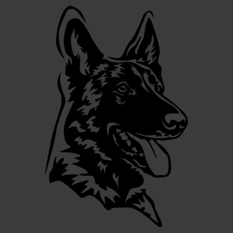 Tête de Malinois