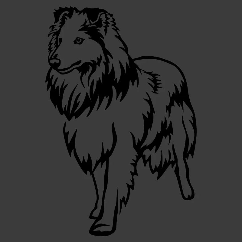 Sheltie
