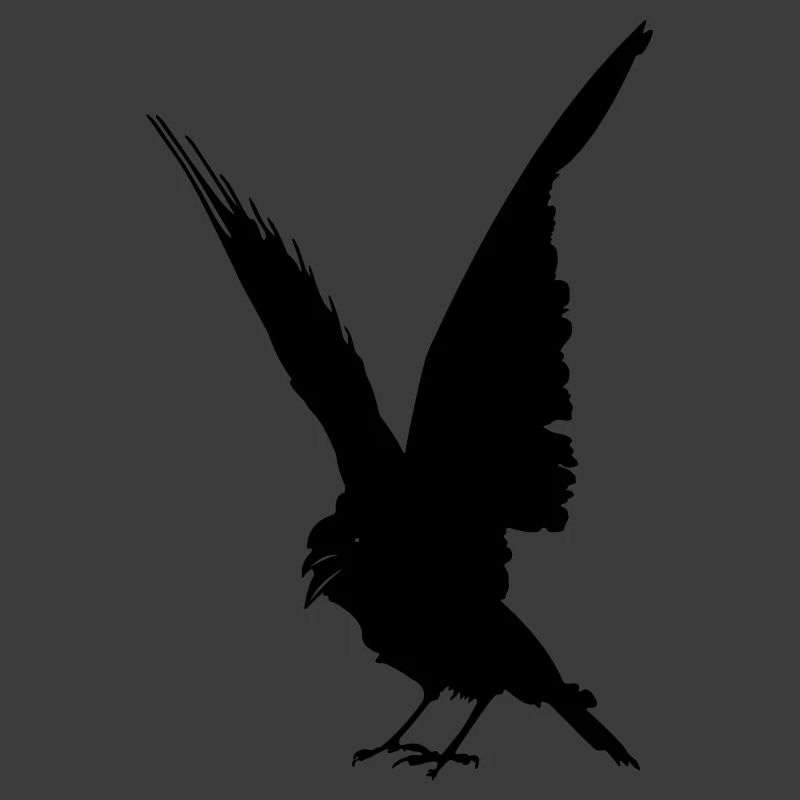 Schwarze Vogelkrähe oder Rabenschattenfigur
