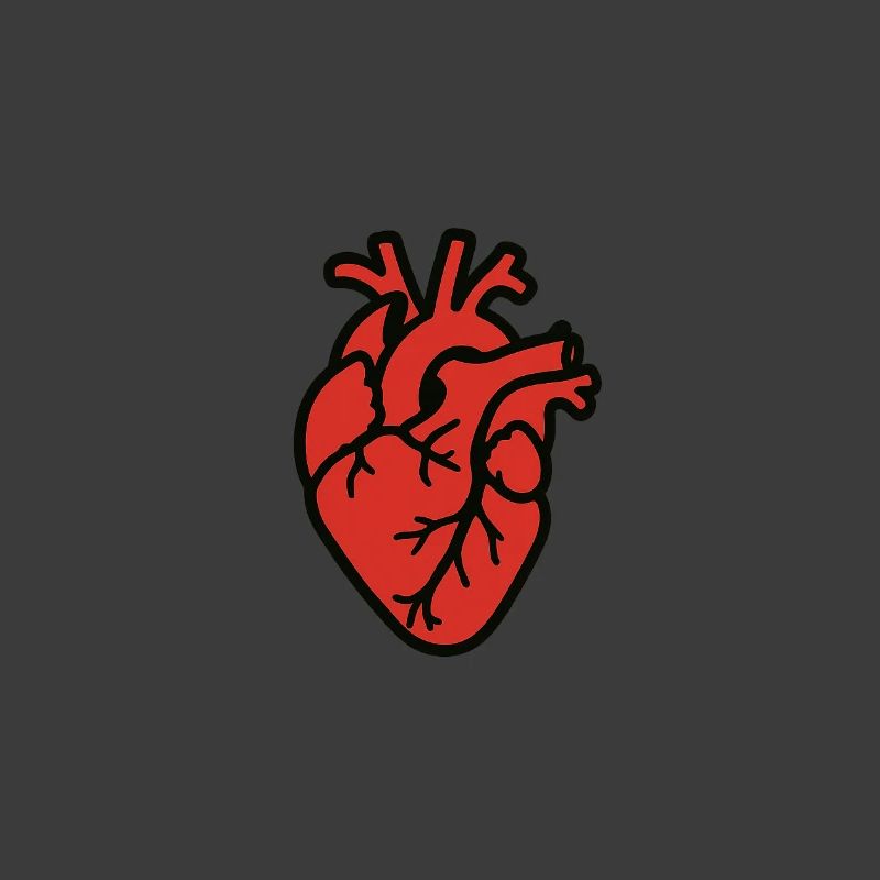 cuore_anatomico