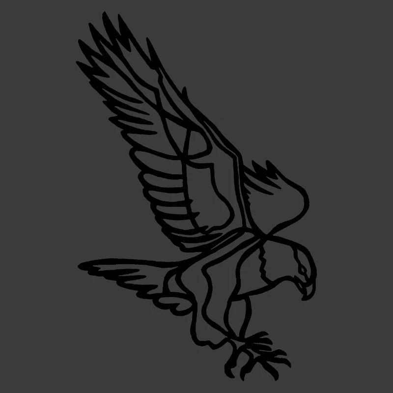 Black Eagle in Flight