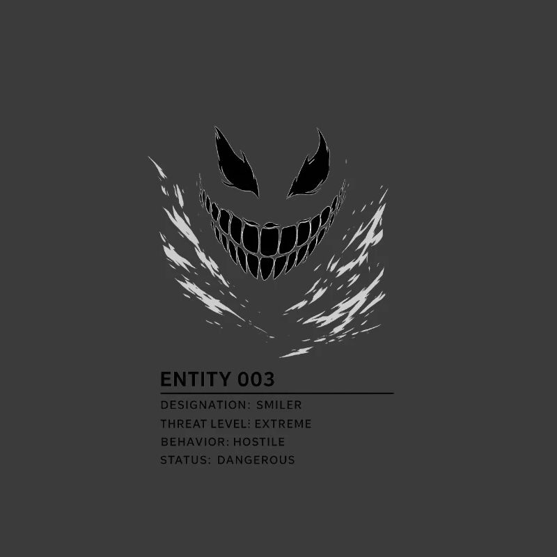 entity_003_transp_2