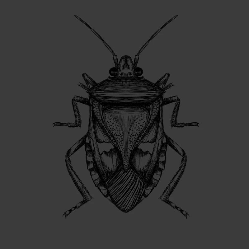 Bug