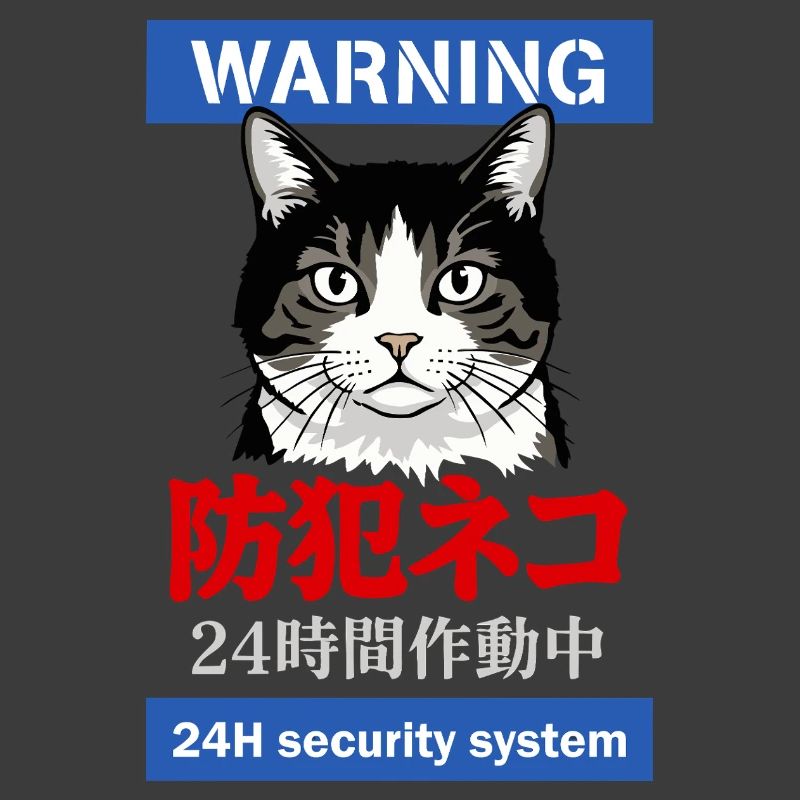24h Security System