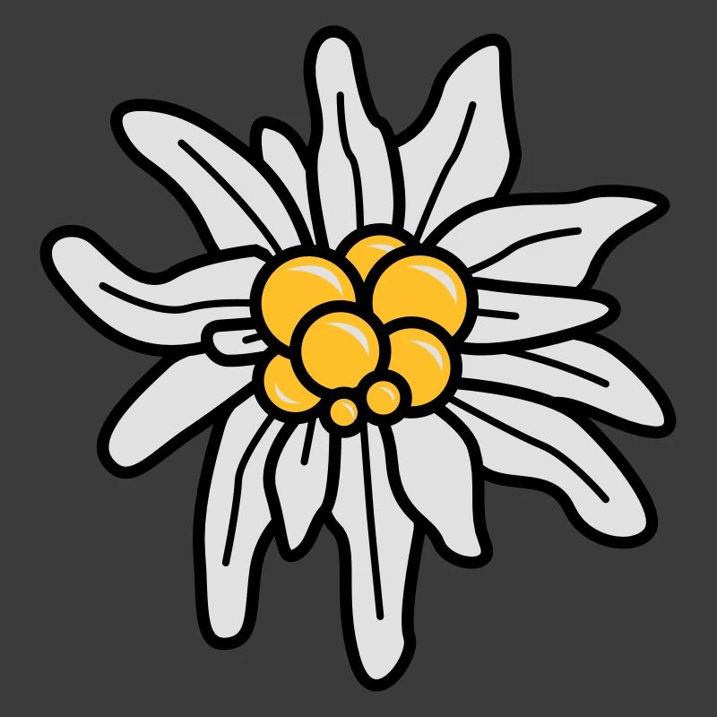 Edelweiss