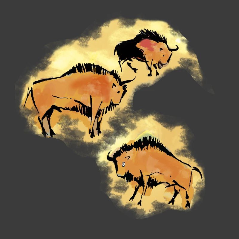 Bison